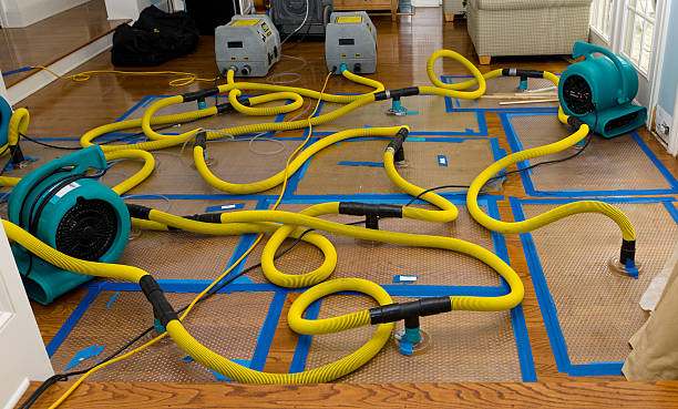Professional Emergency Water Removal technician working in Halls, TN